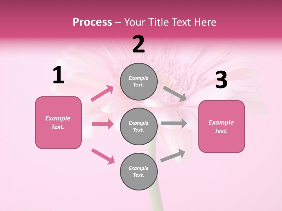 Isolated Circle Bloom PowerPoint Template