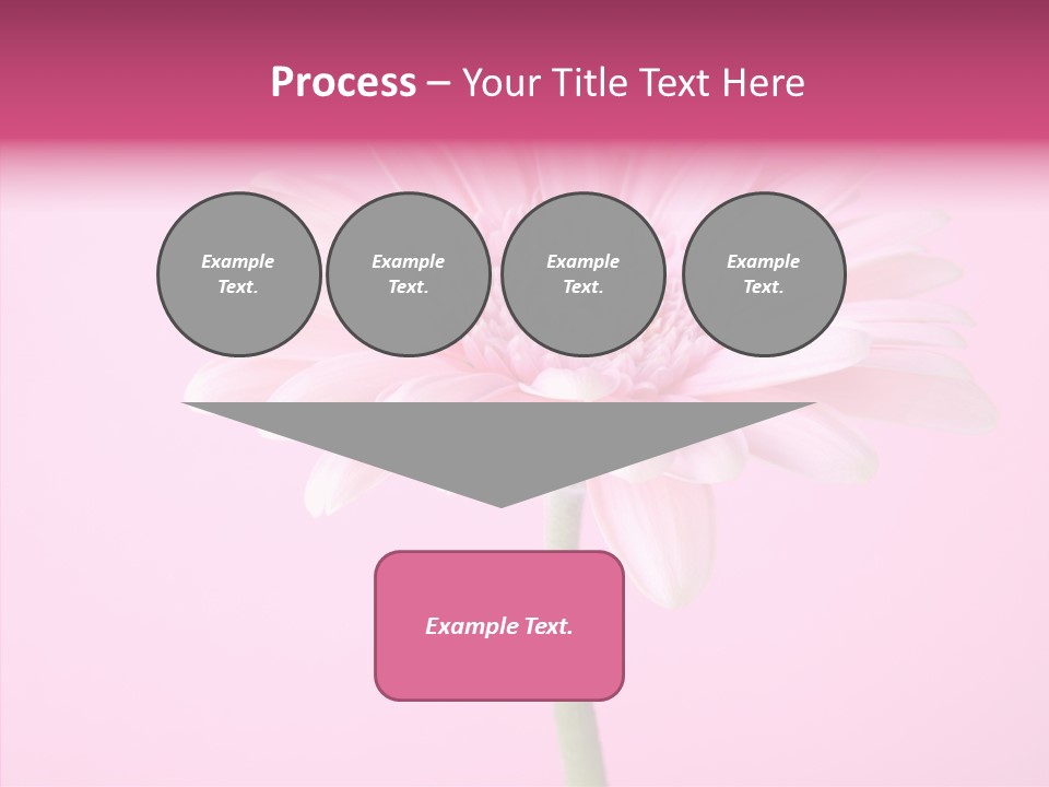 Isolated Circle Bloom PowerPoint Template