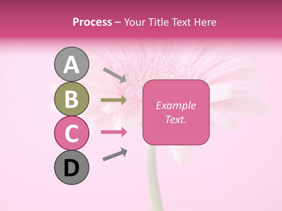 Isolated Circle Bloom PowerPoint Template