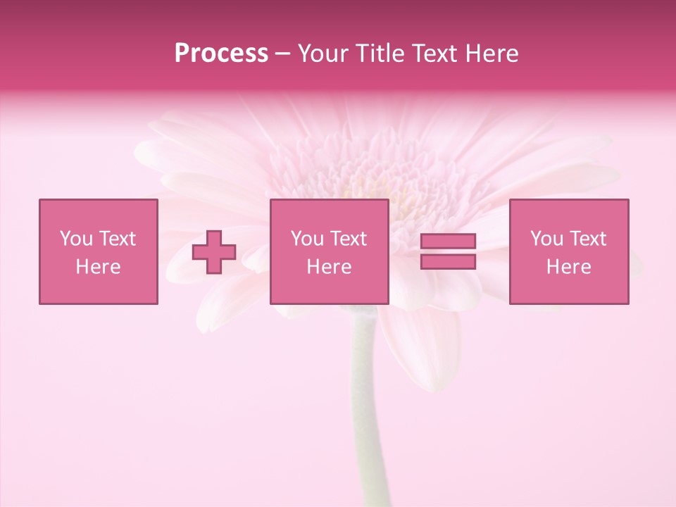 Isolated Circle Bloom PowerPoint Template