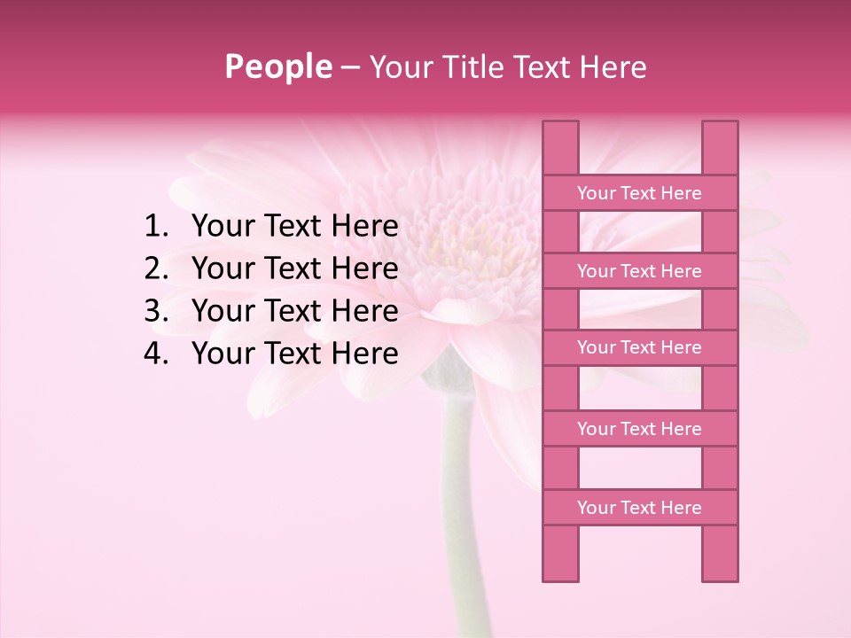 Isolated Circle Bloom PowerPoint Template
