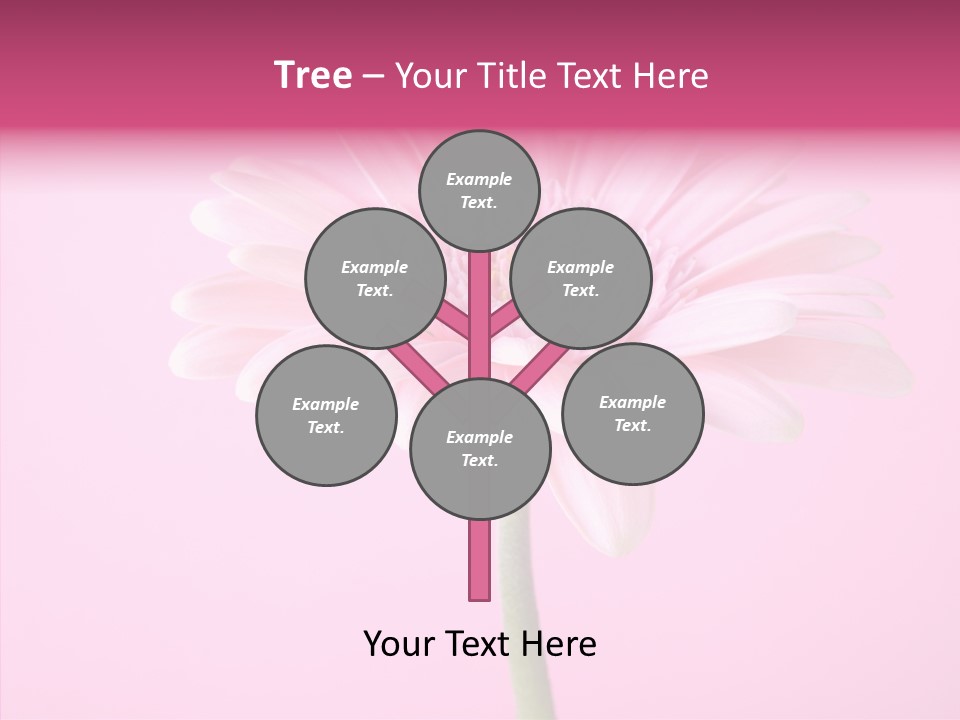 Isolated Circle Bloom PowerPoint Template