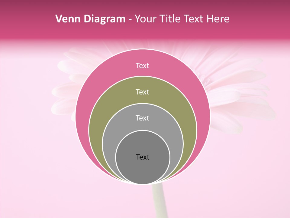 Isolated Circle Bloom PowerPoint Template