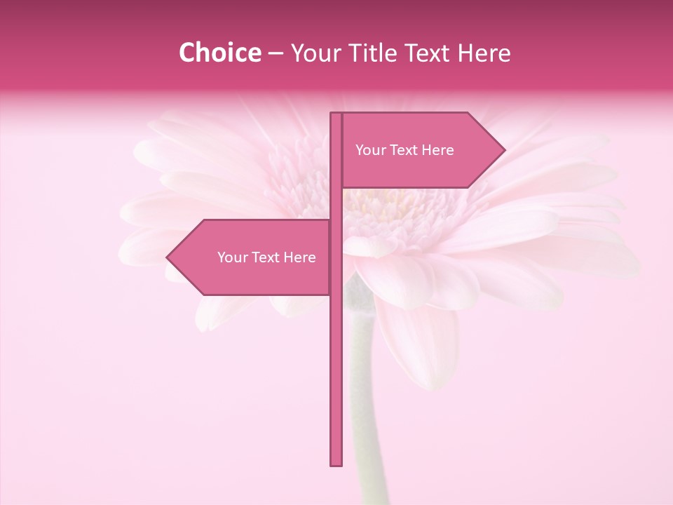 Isolated Circle Bloom PowerPoint Template