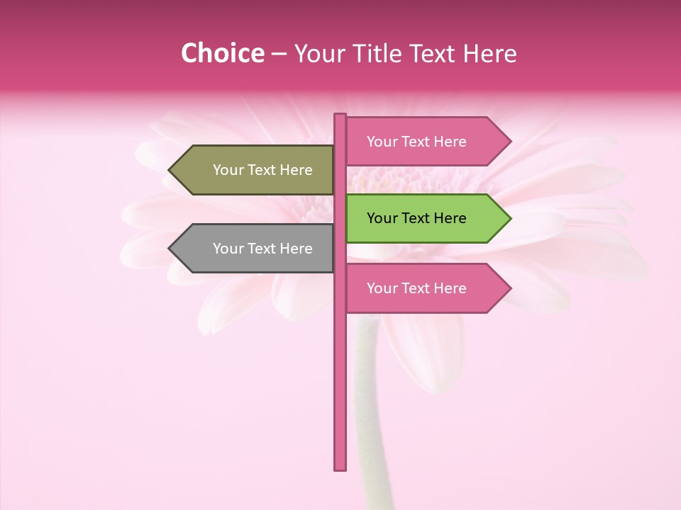 Isolated Circle Bloom PowerPoint Template