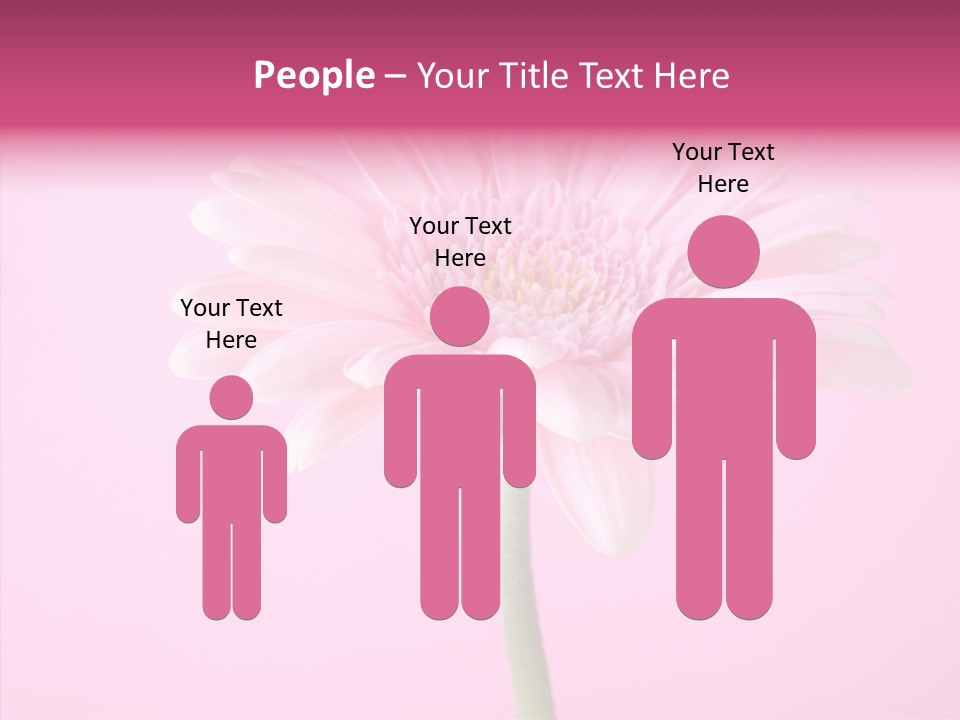 Isolated Circle Bloom PowerPoint Template