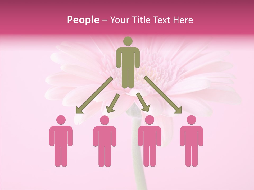 Isolated Circle Bloom PowerPoint Template