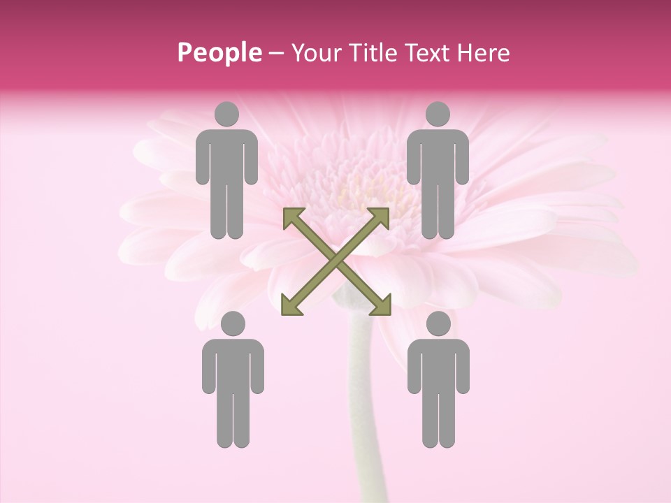 Isolated Circle Bloom PowerPoint Template