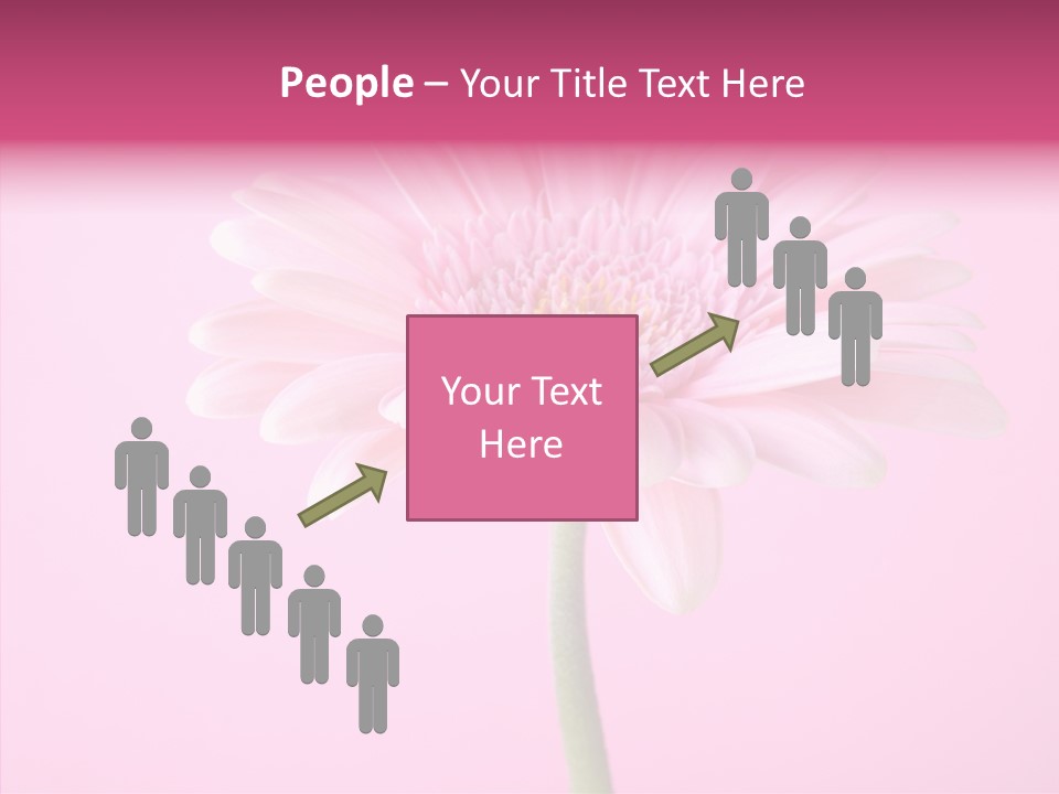 Isolated Circle Bloom PowerPoint Template