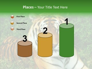 Team Corporation Figure PowerPoint Template