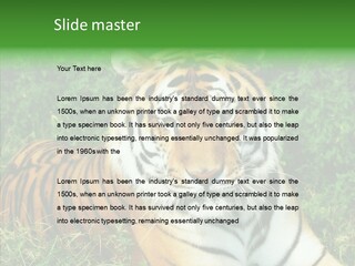 Team Corporation Figure PowerPoint Template