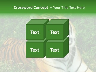 Team Corporation Figure PowerPoint Template