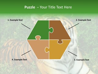 Team Corporation Figure PowerPoint Template