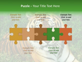 Team Corporation Figure PowerPoint Template