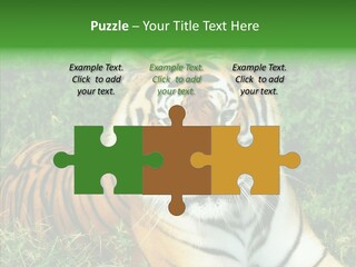 Team Corporation Figure PowerPoint Template