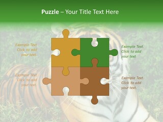 Team Corporation Figure PowerPoint Template