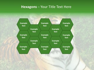 Team Corporation Figure PowerPoint Template