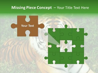 Team Corporation Figure PowerPoint Template