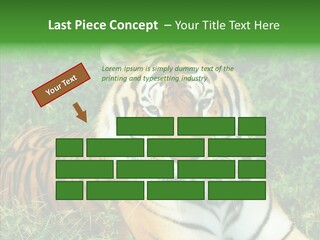 Team Corporation Figure PowerPoint Template