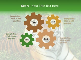 Team Corporation Figure PowerPoint Template