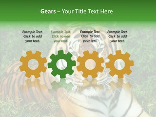 Team Corporation Figure PowerPoint Template