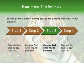 Team Corporation Figure PowerPoint Template