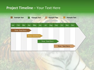 Team Corporation Figure PowerPoint Template