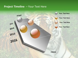 Team Corporation Figure PowerPoint Template