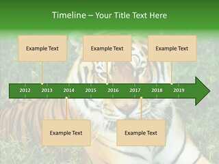 Team Corporation Figure PowerPoint Template