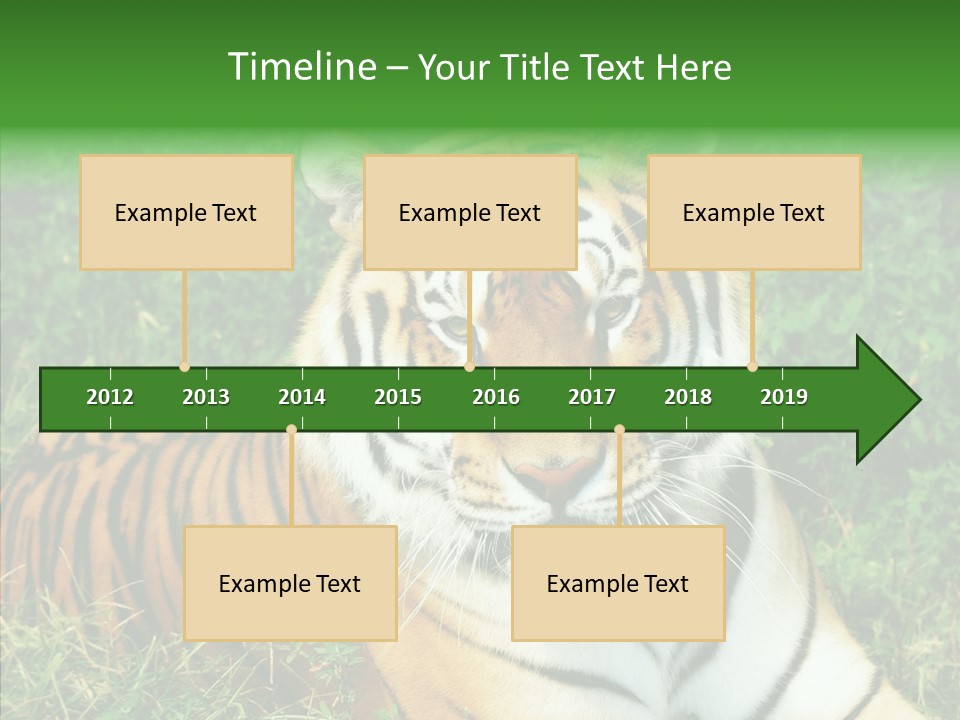 Team Corporation Figure PowerPoint Template