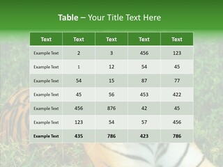 Team Corporation Figure PowerPoint Template