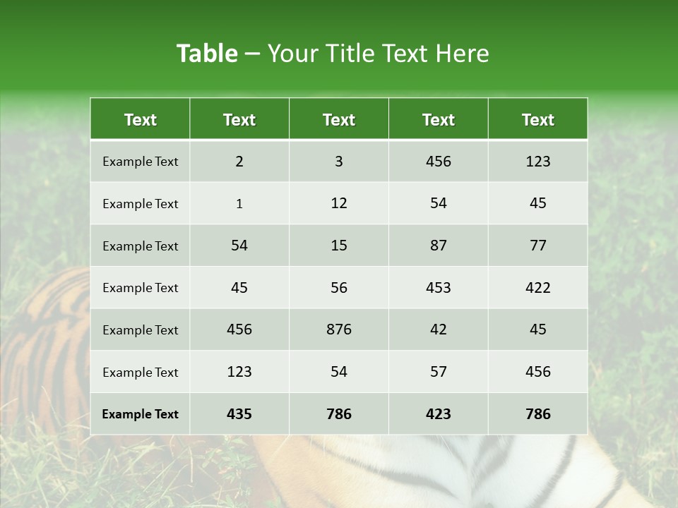 Team Corporation Figure PowerPoint Template