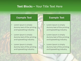 Team Corporation Figure PowerPoint Template