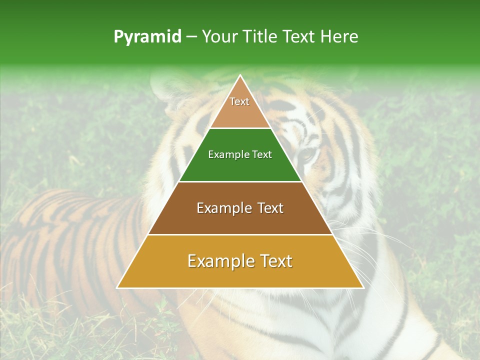 Team Corporation Figure PowerPoint Template