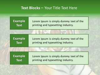 Team Corporation Figure PowerPoint Template