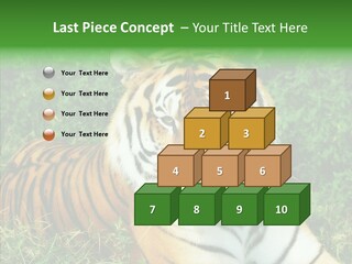 Team Corporation Figure PowerPoint Template