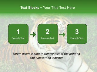 Team Corporation Figure PowerPoint Template