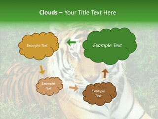 Team Corporation Figure PowerPoint Template