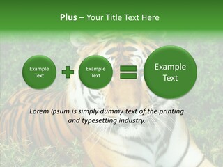 Team Corporation Figure PowerPoint Template