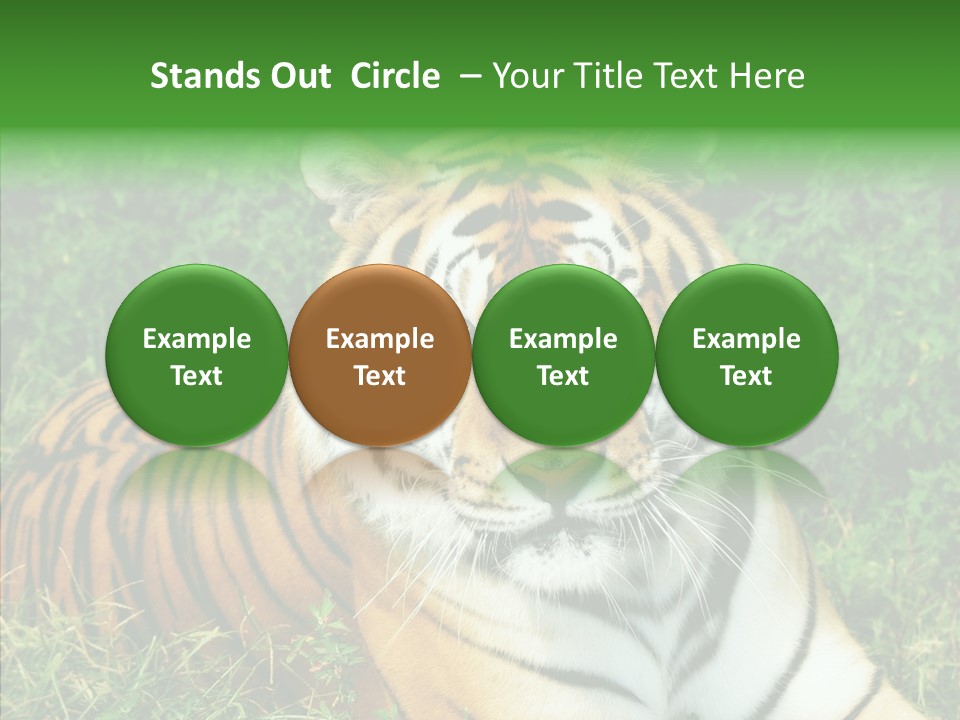 Team Corporation Figure PowerPoint Template