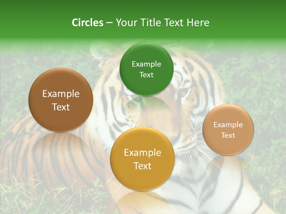 Team Corporation Figure PowerPoint Template