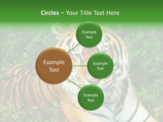 Team Corporation Figure PowerPoint Template