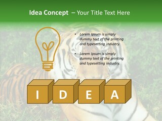 Team Corporation Figure PowerPoint Template