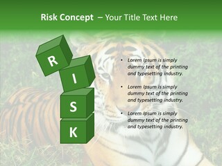 Team Corporation Figure PowerPoint Template