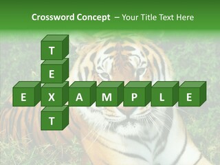 Team Corporation Figure PowerPoint Template