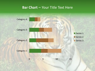 Team Corporation Figure PowerPoint Template