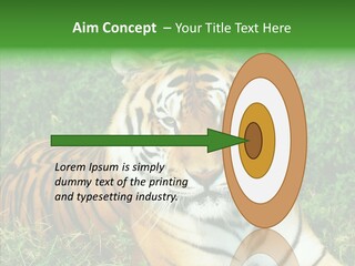 Team Corporation Figure PowerPoint Template
