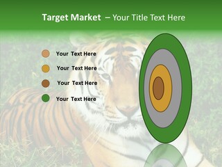 Team Corporation Figure PowerPoint Template