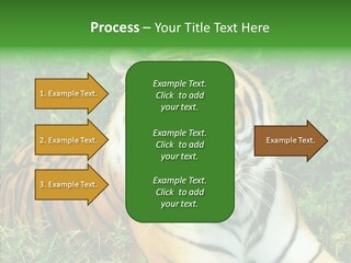 Team Corporation Figure PowerPoint Template