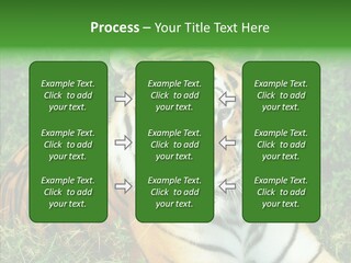 Team Corporation Figure PowerPoint Template